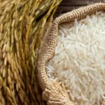 rice exports