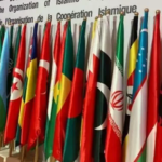 OIC calls on international parties to stop Israeli aggression in Gaza