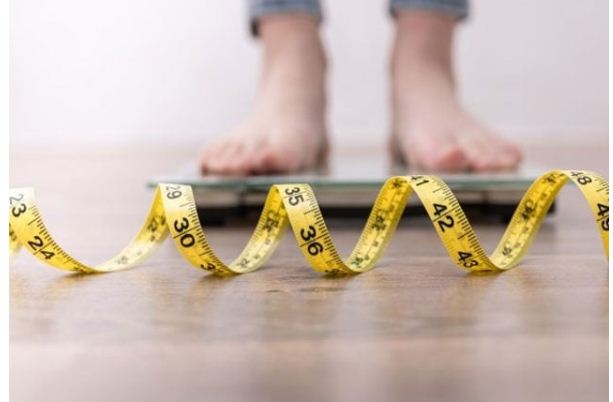 A Major Food Component That Increases Metabolism