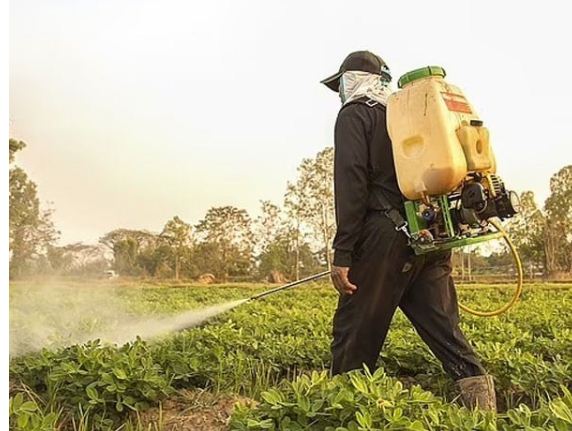 Two Chemicals Sprayed On Crops Affect Children's Brain Power